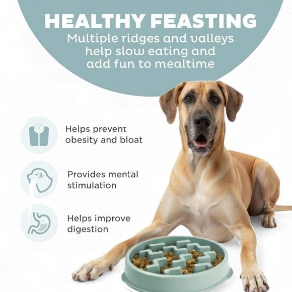 NWT Outward Hound Slo Bowl Sage Green LARGE Slow Feeder Anti Bloat Dog Bowl - Picture 5 of 10